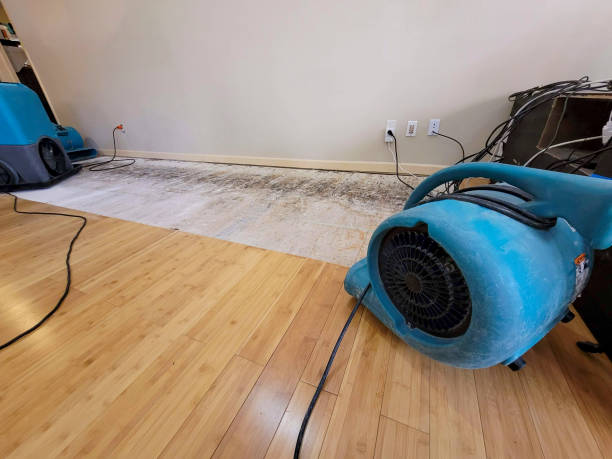 Professional Ceiling Water Damage Repair technician working in Ernul, NC